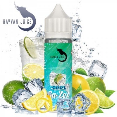 Hayvan Juice - Ga-Zoz COOL 10ml, Steuerware